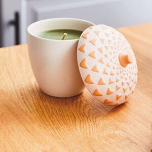 HALLMARK Acorn Teakwood Scented Candle-8 oz